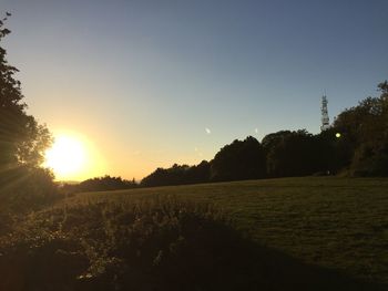 Scenic view of field against clear sky during sunset