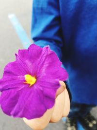 Close-up of yellow flower