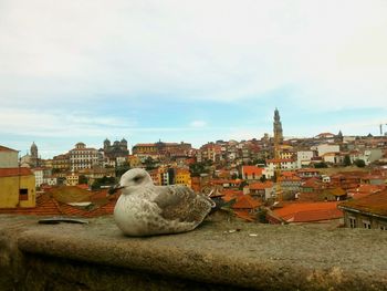 View of cityscape against sky