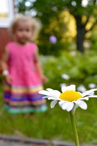 Rear view of woman with yellow flower in park