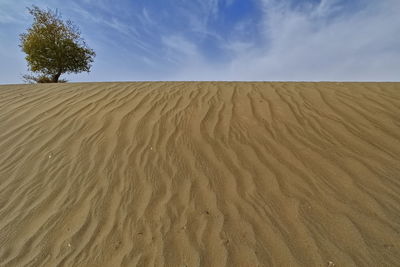 Scenic view of desert against sky