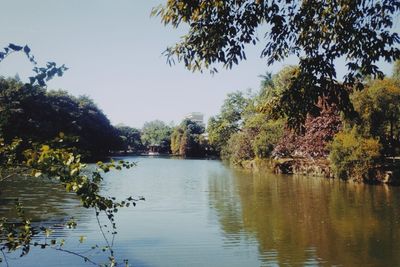 Scenic view of lake against clear sky