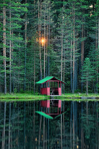 Built structure in lake with trees in forest