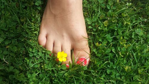 Cropped image of man on grassy field