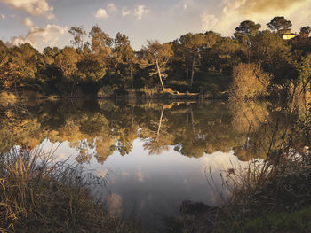 Reflection of trees in lake against sky