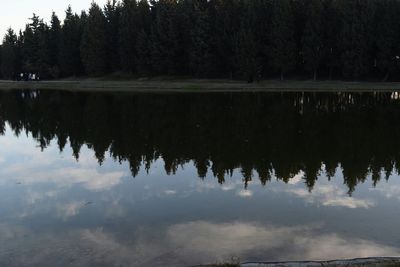 Reflection of trees in lake against sky