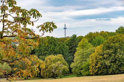 Plants and trees against sky during autumn