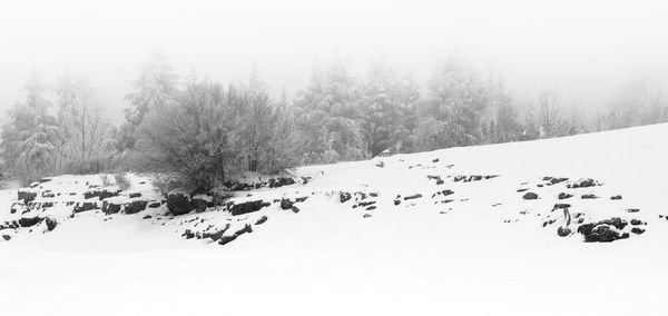 Scenic view of snow covered landscape