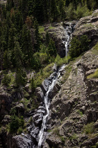 Stream flowing through rocks in forest