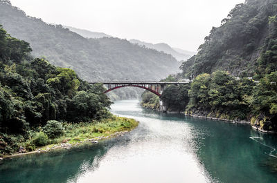 Bridge over river amidst trees against sky