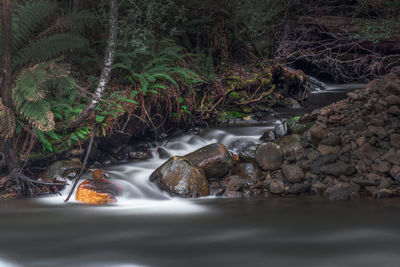 River flowing through rocks in forest