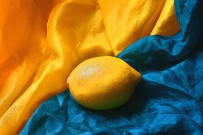 High angle view of oranges on bed