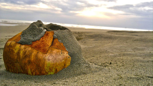 Close-up of pebbles on sand at beach against sky