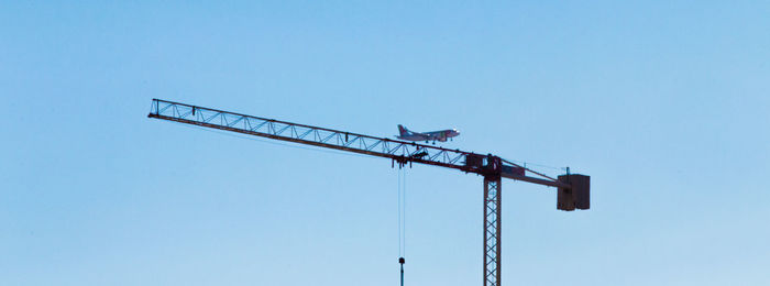 Low angle view of bird perching against clear blue sky