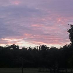 Silhouette trees against sky during sunset