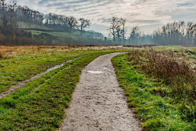 Road amidst trees on land against sky