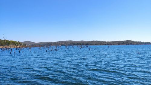 Scenic view of sea against clear blue sky