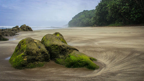 Scenic view of beach