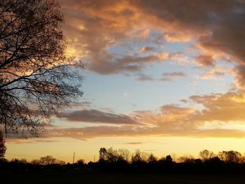 Silhouette of trees at sunset