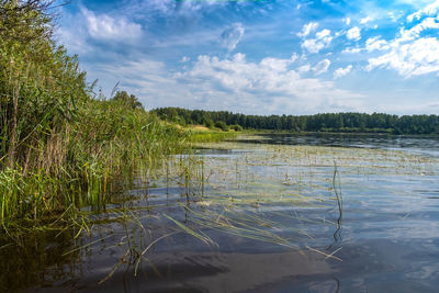 Scenic view of lake against sky