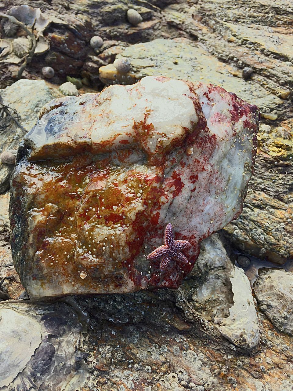 textured, high angle view, rock - object, close-up, rough, water, stone - object, outdoors, nature, day, pattern, full frame, no people, backgrounds, beach, natural pattern, sunlight, weathered, stone, rock