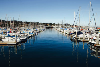 Sailboats moored in harbor against clear blue sky