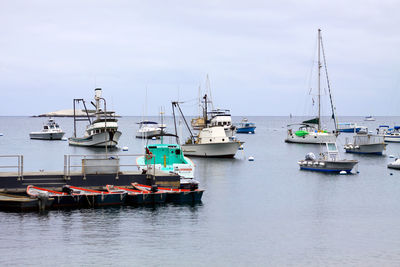 Boats moored at harbor against sky