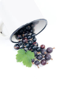 High angle view of berries against white background