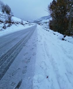 Snow covered road amidst trees during winter