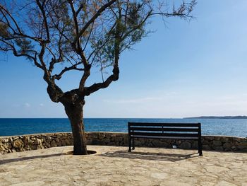 Tree on bench by sea against sky