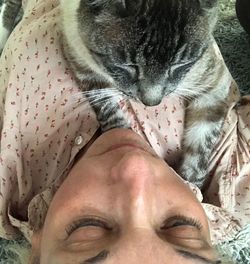 Close-up of a cat resting on woman