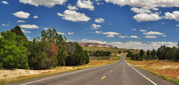 Road amidst trees against sky