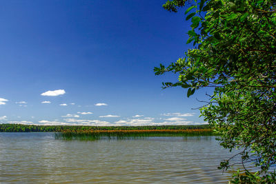 Scenic view of lake against blue sky