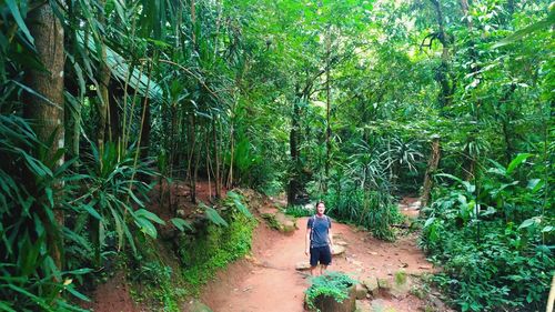 Rear view of woman walking on walkway in forest