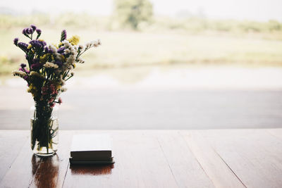 Close-up of potted plant on table