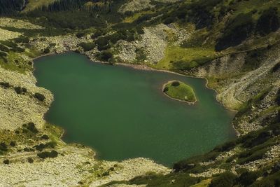 High angle view of lake amidst trees