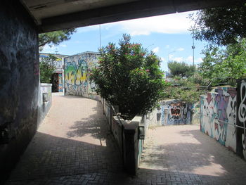 Empty alley amidst trees in city