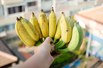 Cropped hand holding banana