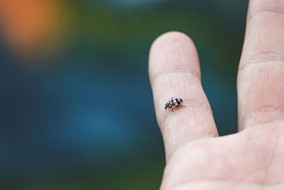 Close-up of human hand against blurred background