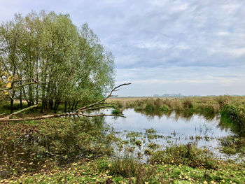 Scenic view of lake against sky