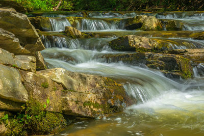 Scenic view of waterfall in forest