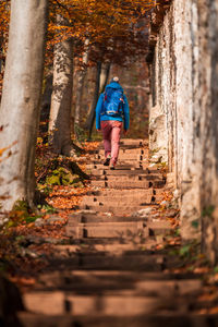 Rear view of backpack woman walking on steps in forest during autumn