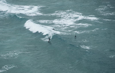 High angle view of people in sea
