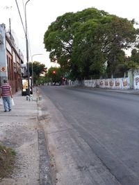 Road along trees in city