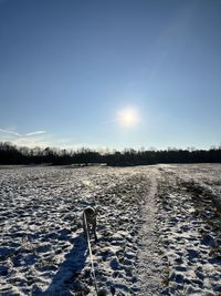 sunlight
