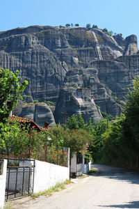 View of trees with rocks in background