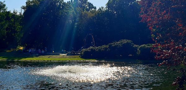 Scenic view of lake in forest