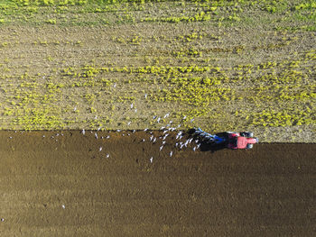 Directly above shot of tractor working on farm