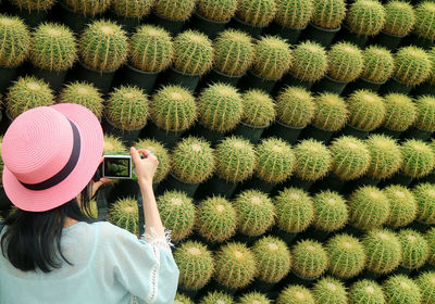 Rear view of woman photographing cactus plants