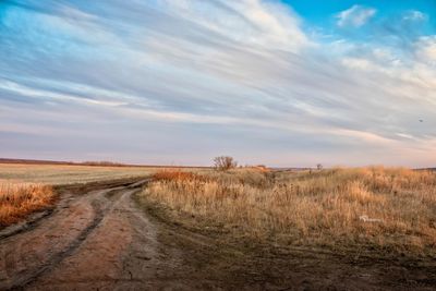 Dirt road amidst field against sky